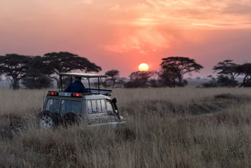 South Africa: A Journey of Discovery